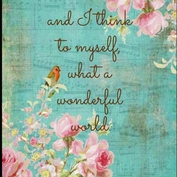 Meet your Posher, Tasha - Picture 9 of 16